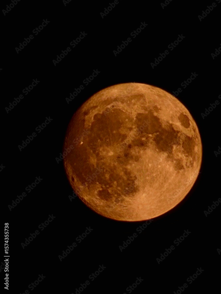 Fototapeta premium moon