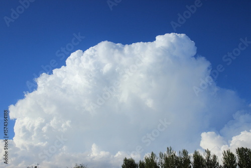 Big white cloud over the forest. Russia.