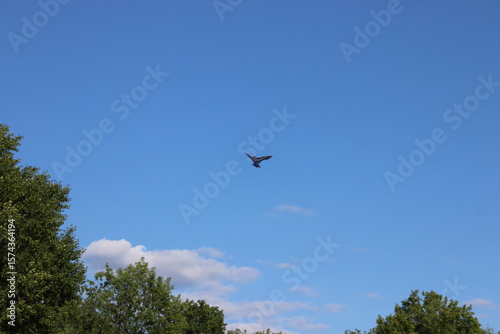 Children's toy bird in the sky. Russia.
