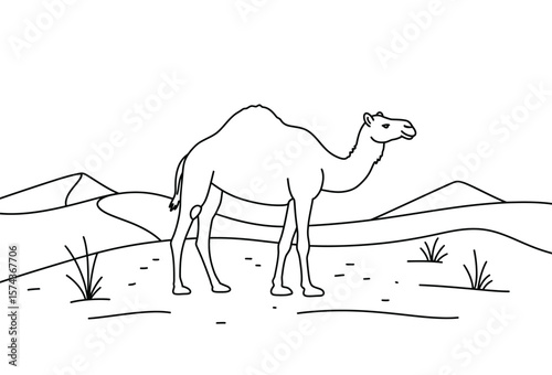 Camel scenery drawing. It is a black and white outline image of a camel in a desert landscape with sand dunes and sparse vegetation, depicting arid nature. Vector sketch line art draw.
