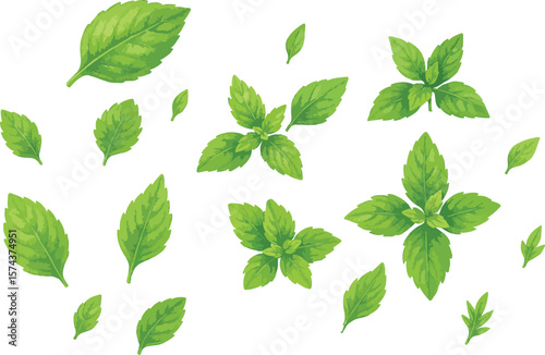 Botanical Leaf Silhouette Set – Natural Foliage Icons for Eco Design, Wellness & Decorative Layouts