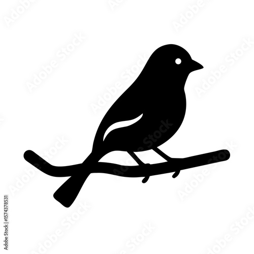 Black silhouette of a bird perched on a frosty branch