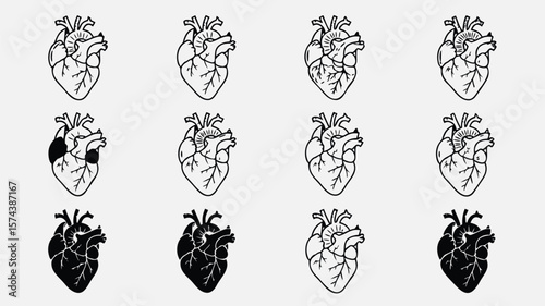 Anatomical Heart Illustrations Monochrome Array Displaying Gradient of Solid Black Hearts and Lined Hearts