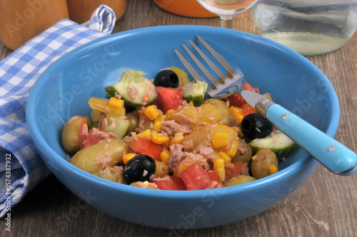 Salade composée faite maison servie dans une assiette avec une fourchette en gros plan