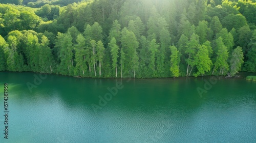 Wallpaper Mural Aerial view of a serene lake surrounded by lush green trees under a bright sunny sky in the daytime Torontodigital.ca