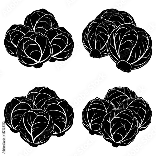 Illustration of four groups of cabbages with detailed leaf veins in a monochrome black and white style
