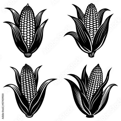 Four corn cobs with husks in a symmetrical arrangement in black and white vector illustration style
