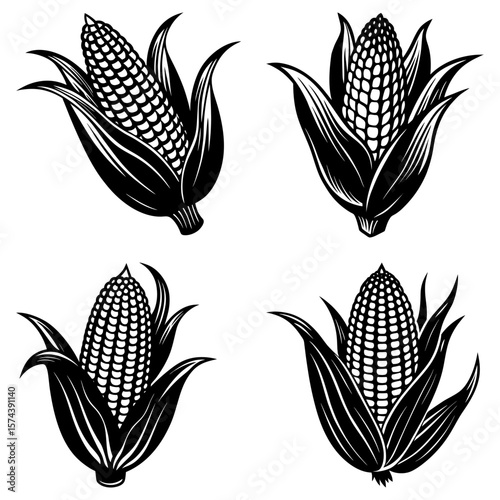 Four black and white corn cobs with husks in varying orientations in a vector illustration style