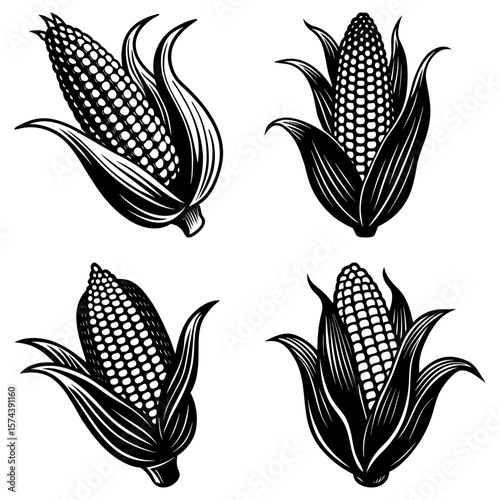 Four monochrome corn cobs with husks in varying orientations in a vector illustration style design
