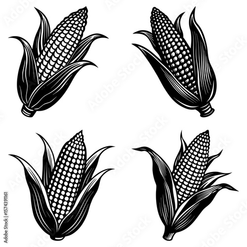 Illustration of four monochrome corn cobs with husks in varying orientations and detailed shading style
