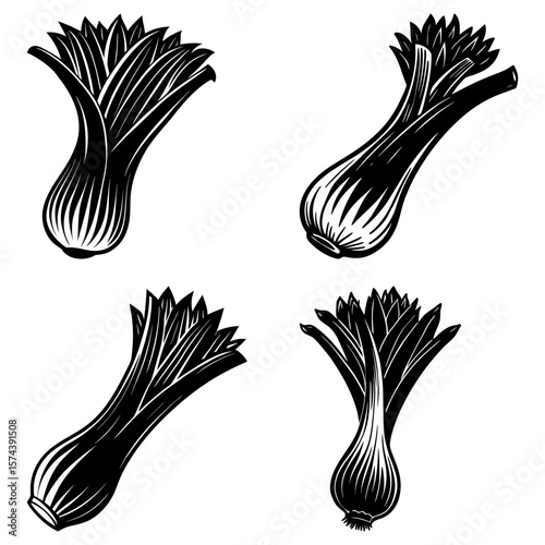 Four stylized leek plants in black and white with detailed line work and varying orientations