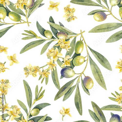Seamless pattern watercolor green olives branch. Hand painted floral illustration olive fruit, flowers, tree branches, leaves transparent background. Drawings food edible foliage. For menu, wrapping