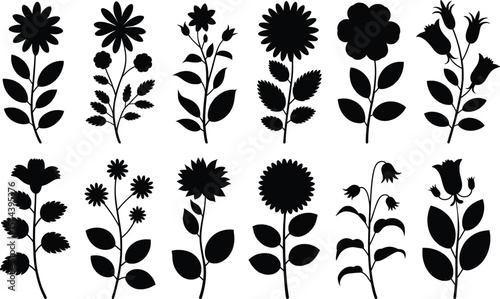 Flower Silhouette Vector Set, Botanical Floral Icons in Black Outline.


