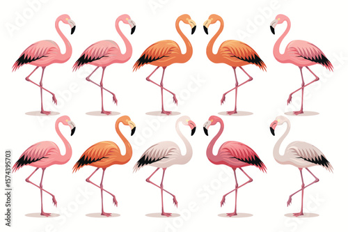 Illustration Featuring a Pattern of Pink, Orange and White Flamingos Standing on One Leg
