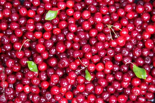Obraz na płótnie ripe cherries