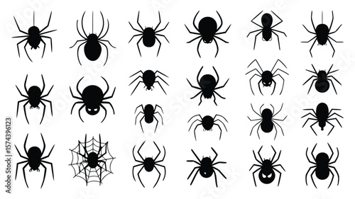 Twentyone Black Spider Silhouettes and One Spiderweb on a White Background, Halloween Decorations
