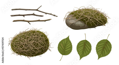 Illustration of three twigs, two moss covered objects, and three leaves on a white background