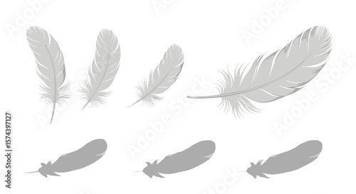 Illustration of several white feathers in varying positions on a white background in a vector format