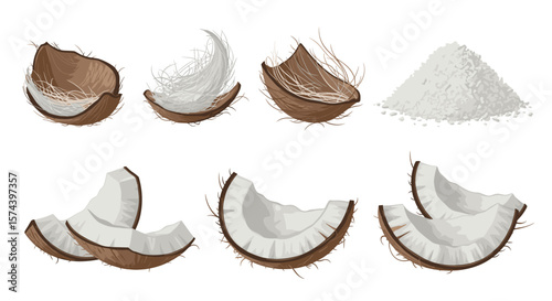 Illustration of assorted coconut parts including shells pieces flakes and shredded coconut pile isolated