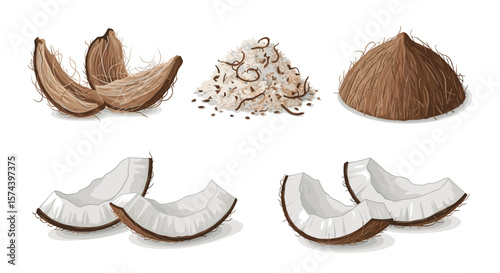 Illustration showcasing various forms of coconut including husk, shredded, whole, and sliced pieces displayed