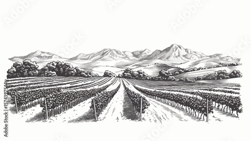 Vintage Vineyard Engraving with Rolling Hills - Scenic Landscape Artwork