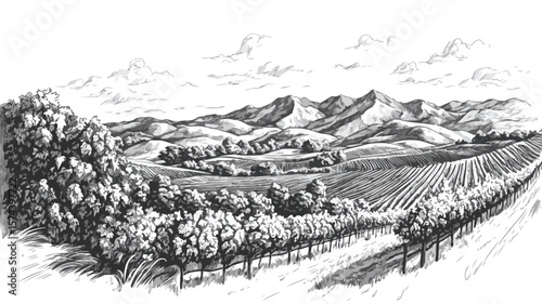 Vintage Vineyard Engraving with Rolling Hills - Scenic Landscape Artwork