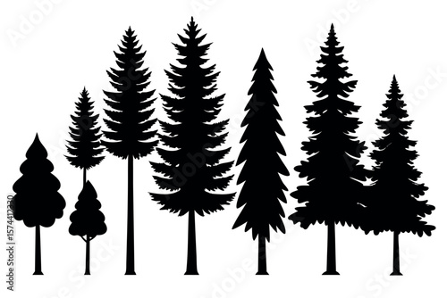 Silhouettes of Pine and Fir Trees in a Natural Forest Setting – Vector Design