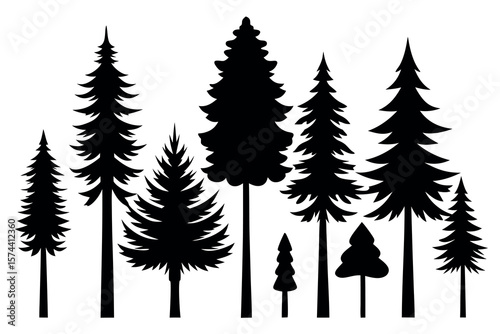 Silhouettes of Pine and Fir Trees in a Natural Forest Setting – Vector Design