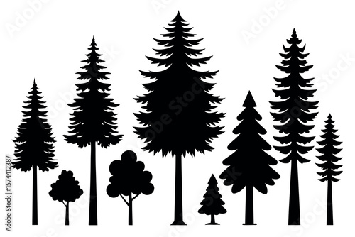 Silhouettes of Pine and Fir Trees in a Natural Forest Setting – Vector Design