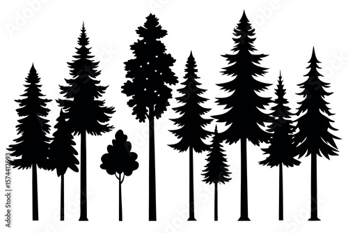 Silhouettes of Pine and Fir Trees in a Natural Forest Setting – Vector Design