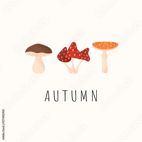Autumn mushrooms illustration with boletus and red fly agarics. Colorful forest fungi in cozy seasonal design. Vector fall postcard on light background.
