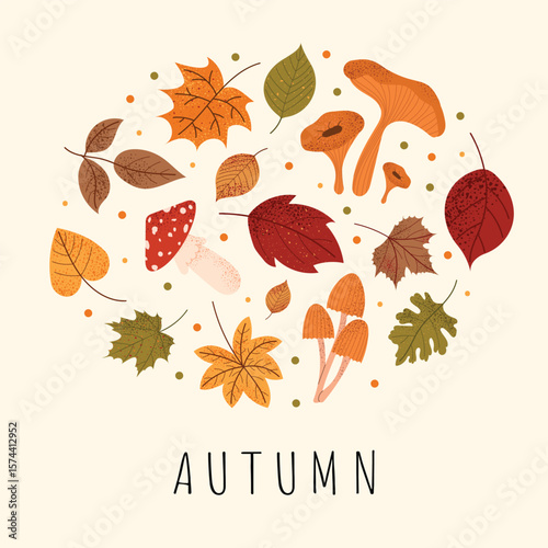 Autumn botanical composition with mushrooms and fall leaves. Cute seasonal illustration with fly agaric, chanterelle and maple foliage. Decorative autumn circle design on light background.