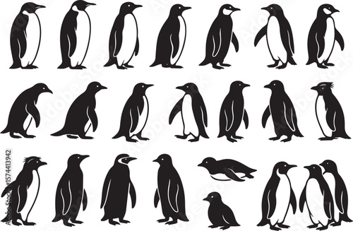 Penguin silhouettes in various poses black and white