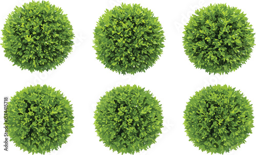 Round green bushes top view vector set, isolated shrub collection for landscaping, garden design, outdoor map, and architectural planning