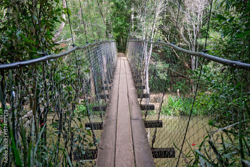 suspension bridge over Peterson creek, wildlife and botanical walking track, Yungaburra, Queensland, Australia