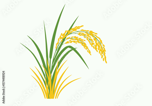 Simple vector of a single rice plant with paddy, solid green and yellow shades only, white background, no text or effects