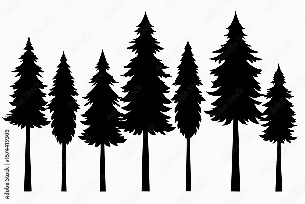 Obraz premium Silhouettes of evergreen trees in a forest setting 