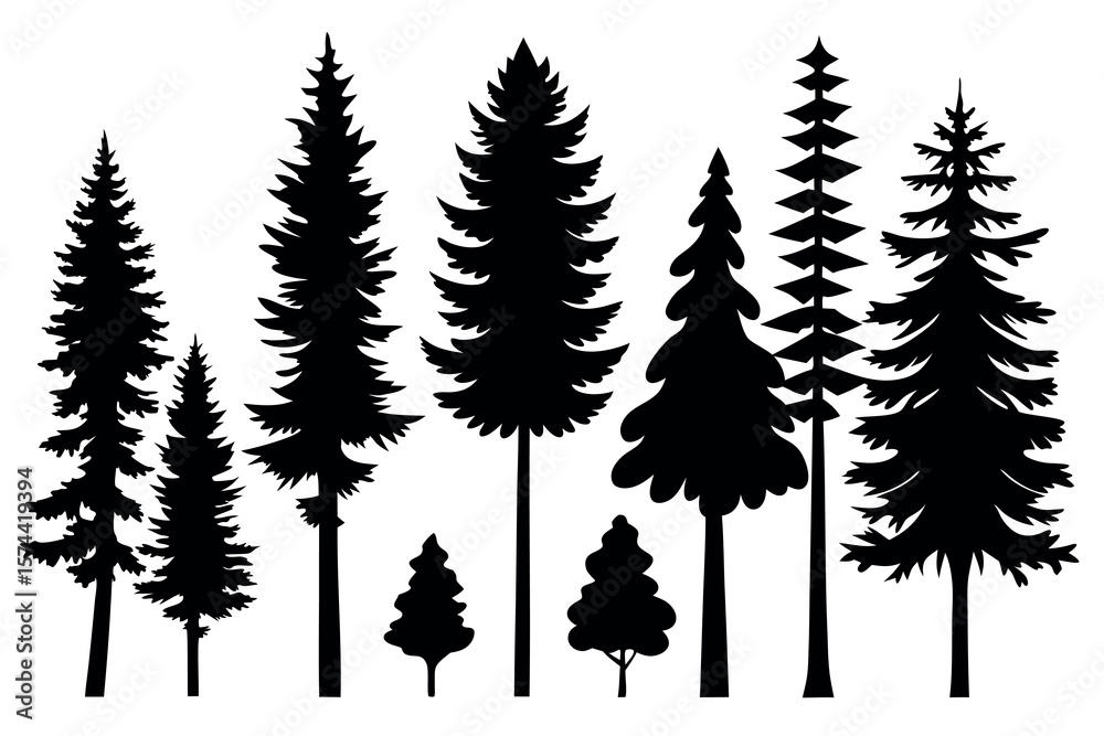 Obraz premium Pine Tree Silhouette Collection Isolated on White Background – Vector Set 