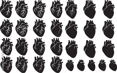 Black anatomical hearts with white veins human heart