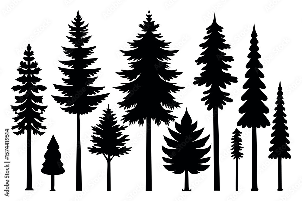 Obraz premium Pine Tree Silhouette Collection Isolated on White Background – Vector Set 