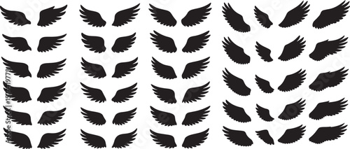 Black angel wings collection silhouette feather