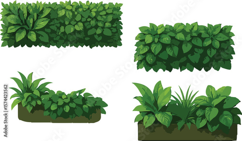 Botanical Plant Silhouette Pack – Ornamental Bushes & Leaf Forms for Eco, Wellness & Landscape Design Projects