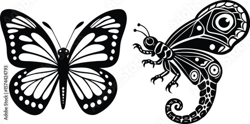 black and white butterfly