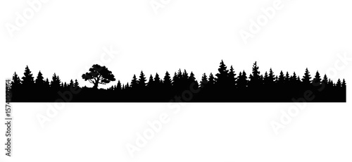 Silhouette of a dense forest with coniferous trees and one deciduous tree in the middle ground