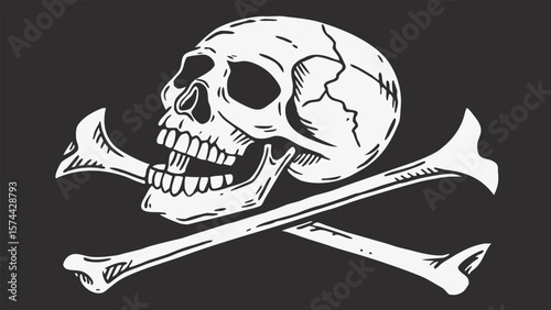 The Iconic Pirate Flag A Symbol of Danger and Rebellion Across the Seas