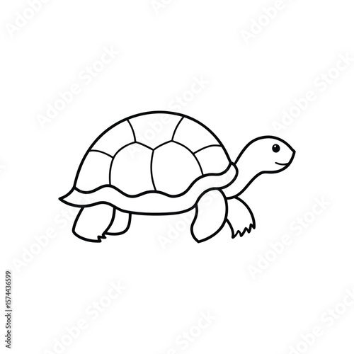 tortoise line art