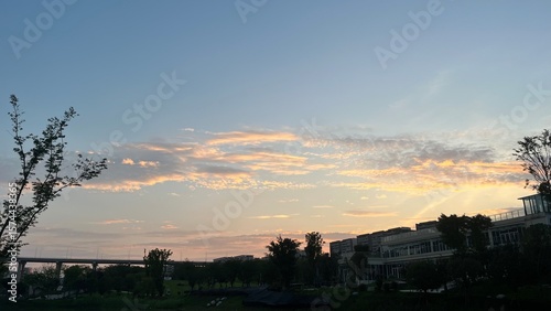 Verdant Trees and Wispy Clouds with a Touch of EveningA Peaceful Scene of Nature's Harmony