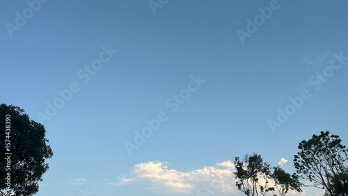 Blue Sky, Lush Greenery, and a Hint of Evening  A Tranquil Panorama of Nature's Grace
