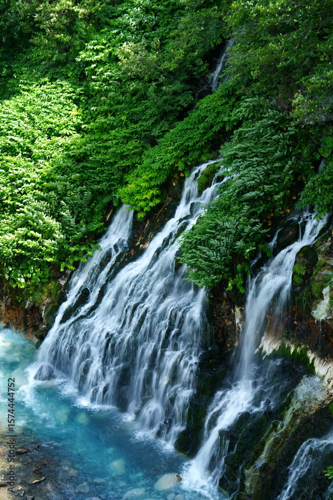 Naklejka premium waterfall in the forest