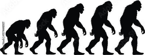 Black Silhouette Depiction of Human Evolution Stages Against a White Background Displaying Transformation